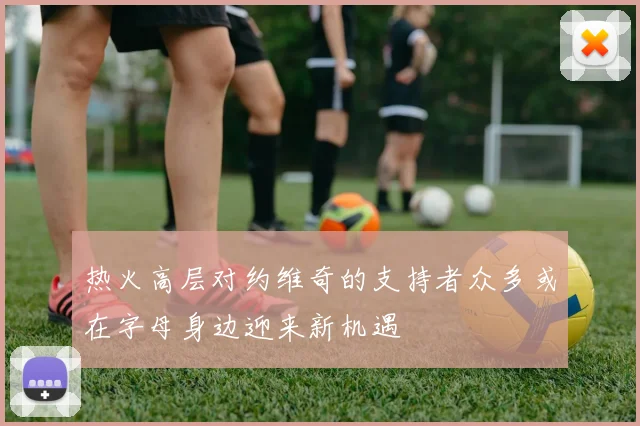 热火高层对约维奇的支持者众多或在字母身边迎来新机遇