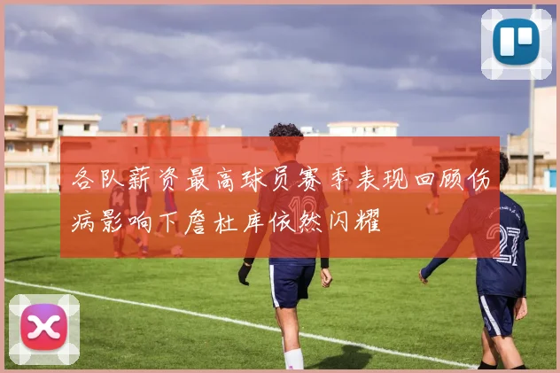 各队薪资最高球员赛季表现回顾伤病影响下詹杜库依然闪耀